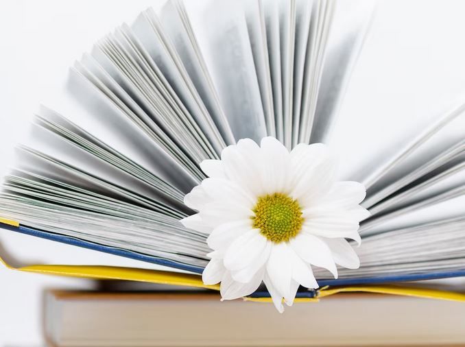 Lesezirkel Ein aufgeschlagenes Buch, die Seiten wie ein Fächer aufgestellt mit einer weißen Blume in der Mitte.